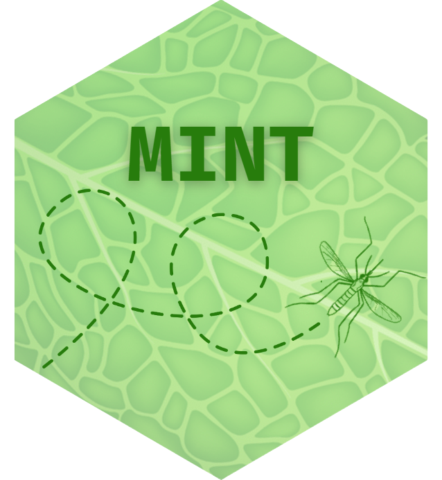 MINT logo